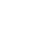 icon-5weiss
